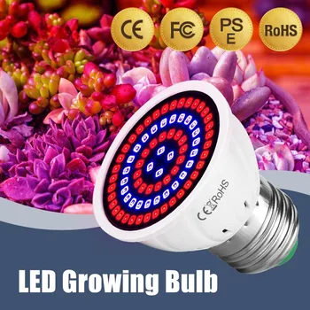 LED Kasvada Lamp Täieliku Spektri LED Taime Kasvu Lamp sisevalgustus Kasvab Tuled Pirn Taimed E27 E14 GU10 MR16 B22 220V