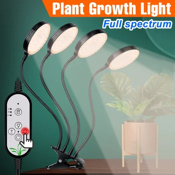 LED Taimed Valguse Hydroponics Phytolamp USB Kasvab Tuled Seemikute Siseruumides Lillede Seemnete Kasvatamise Kasvu Kasti LED Füto Lamp